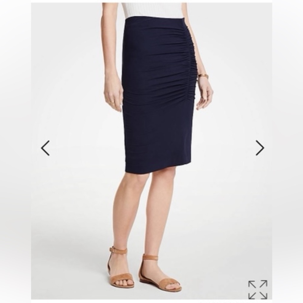 Ann Taylor Skirt